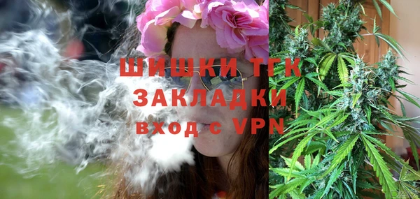 твердый Дмитровск