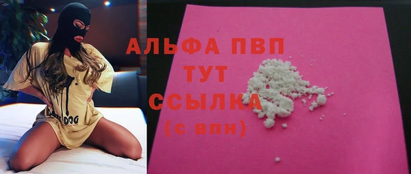 твердый Дмитровск