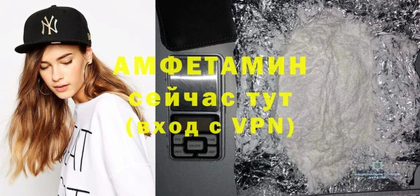 твердый Дмитровск