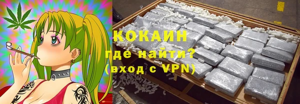 твердый Дмитровск