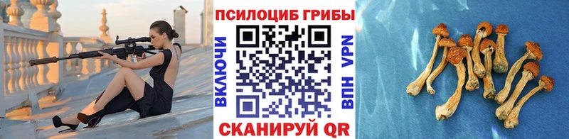 Галлюциногенные грибы MAGIC MUSHROOMS  даркнет сайт  Ковров 